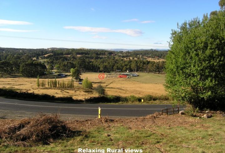 澳洲塔斯马尼亚的土地AUD 150,000_澳大利亚