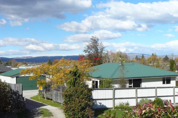 新西兰奥塔哥clyde3卧2卫的房产