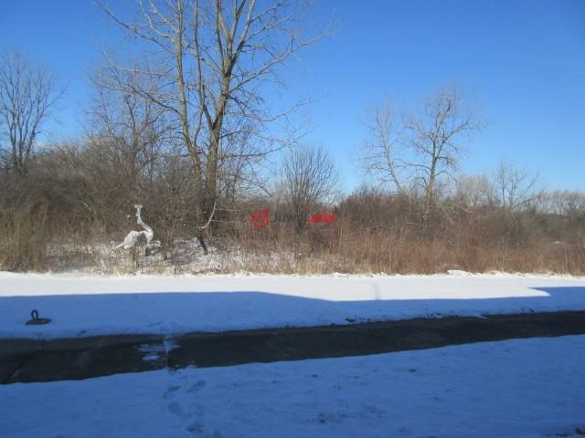 美国伊利诺伊州大学园区3卧2卫的房产