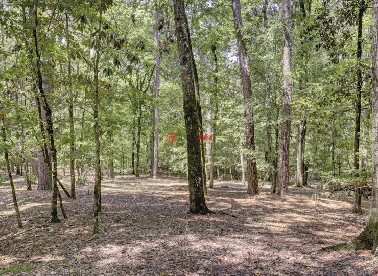 美国德克萨斯州康罗的房产