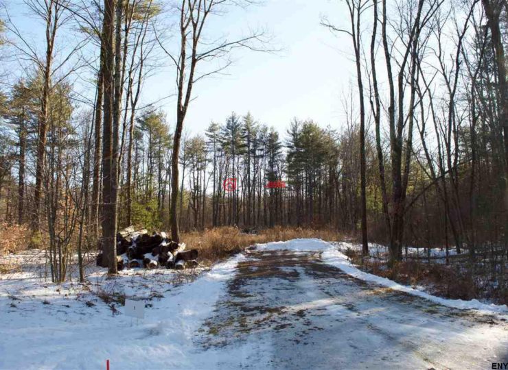 美国纽约州stillwater的房产